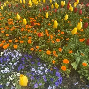 Meet your Posher, Donna